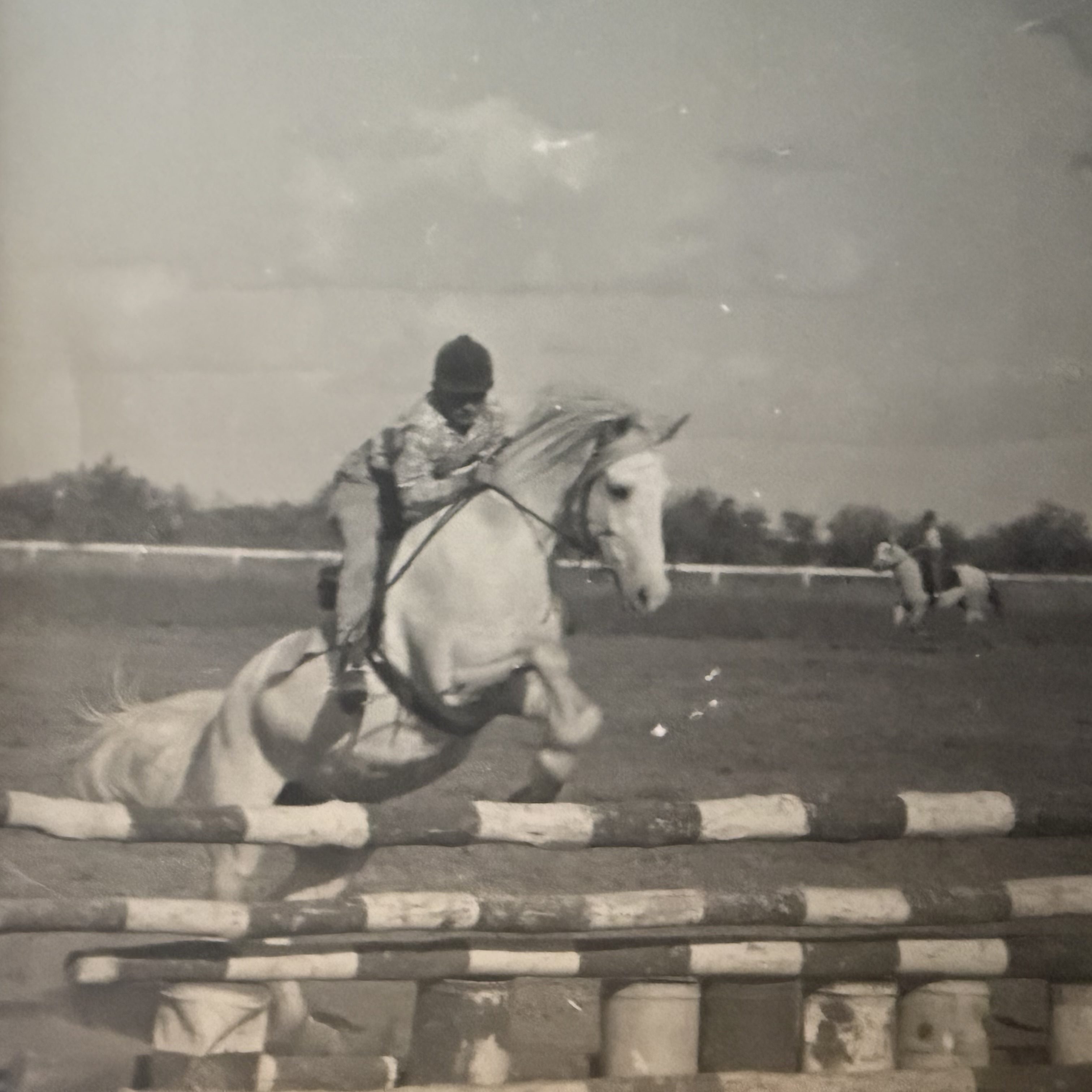 Greg Kidd jumping his horse Day-Ho, a white horse, over striped jumps in 1960 Charleville